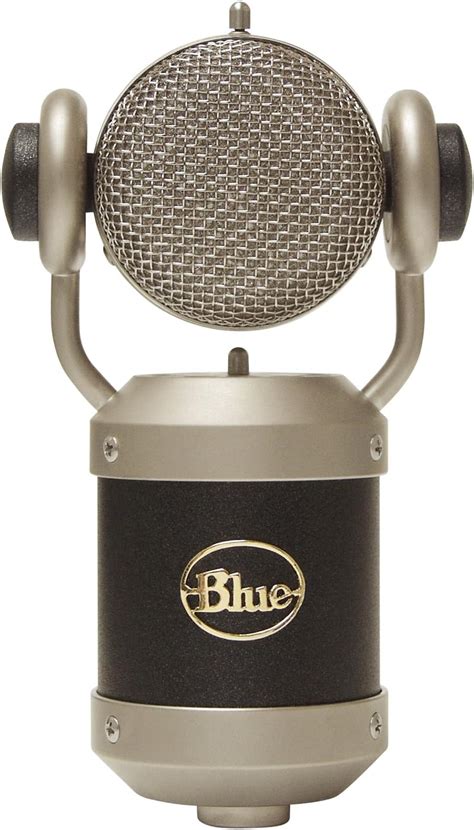 Amazon.com: Blue Microphones Mouse Microphone Kc : Musical Instruments