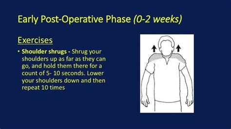 Shoulder Stabilization (Bankart Repair) - Post Operative Rehabilitation Protocol - YouTube