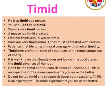 Sentences For Timid Archives - English Grammar Here