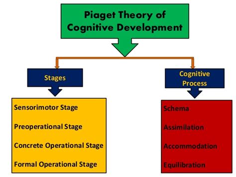 Jean Piaget's Theory of Cognitive Development