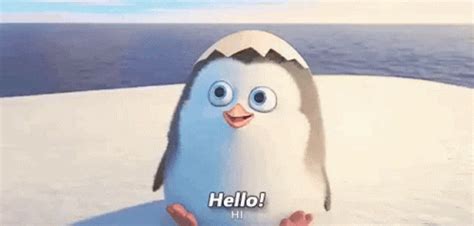 Hello Penguin GIF - Hello Penguin Waves - Descobrir e Compartilhar GIFs