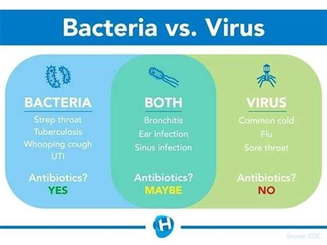 Viral Infection, Bacterial Infection, Infections, Nursing Student Tips, Nursing School Notes ...