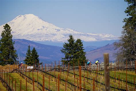 Winery at the Vineyard | Stave and Stone Wine Estates