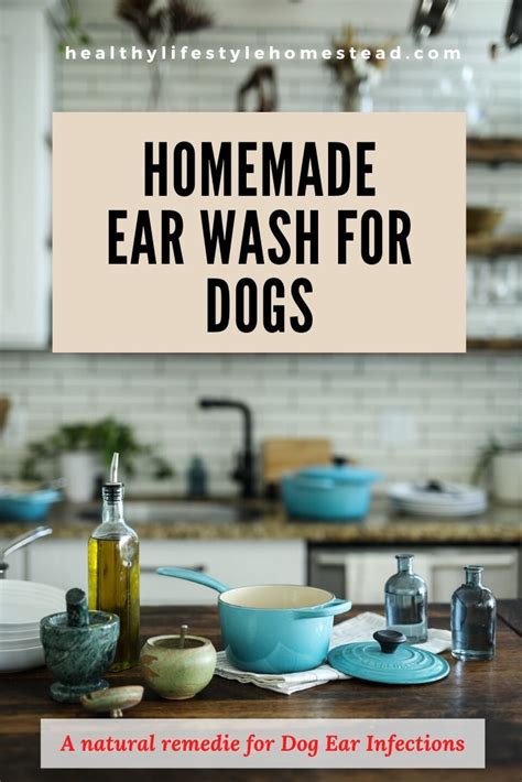 How To Make a Homemade Ear Wash for Dogs | Dog ear wash, Yeast in dogs ...