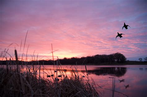 Wisconsin Natural Resources Board Approves 2022 Migratory Bird Hunting Season Framework And ...