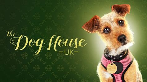 The Dog House: UK Season 3 Release Date? HBO Max Renewal & Premiere 2022 - Releases TV