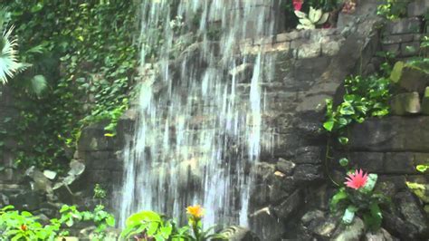 Cleveland Zoo Rainforest Waterfall - YouTube