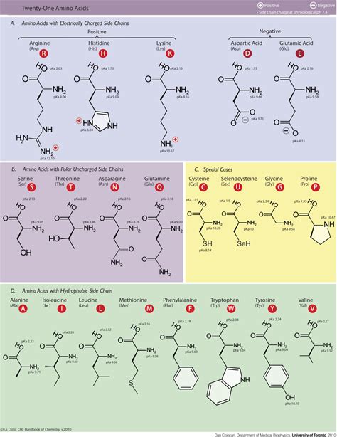 Chemistry Of Nutrition | Brilliant Math & Science Wiki