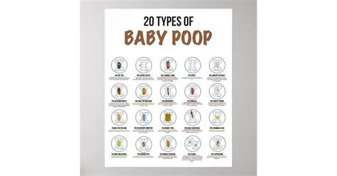 20 Types of Baby Poop Poster | Zazzle