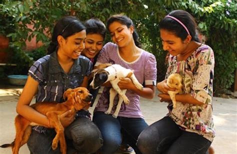 Animal Aid Unlimited: Saving the Street Animals of India | BeChewy