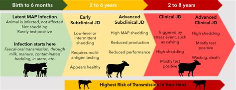 Johne's Disease in Dairy Cows | DRL, New Zealand