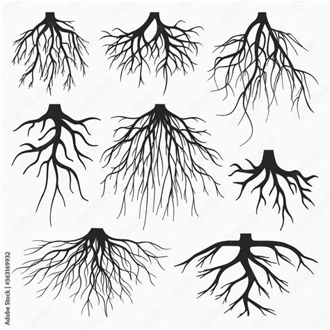 TREE ROOTS VECTOR SET Stock Vector | Adobe Stock