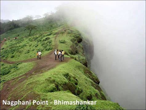 Bhimashankar Wildlife Sanctuary in Maharashtra Wildlife Sanctuary, Where To Go, Mumbai, Natural ...