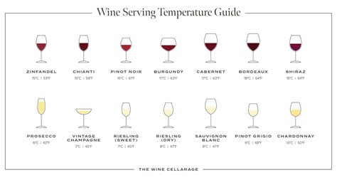 What Temp Should Wine Fridge Be?: The Ultimate Guide to Perfect Wine Storage