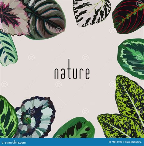 Slogan Nature Flowers Leaves Dark Background Cartoon Vector ...