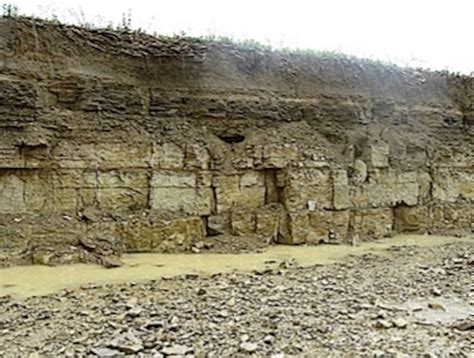 quarry – UK Fossil Collecting