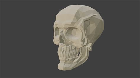 teeth Low poly skull 3d model | CGTrader