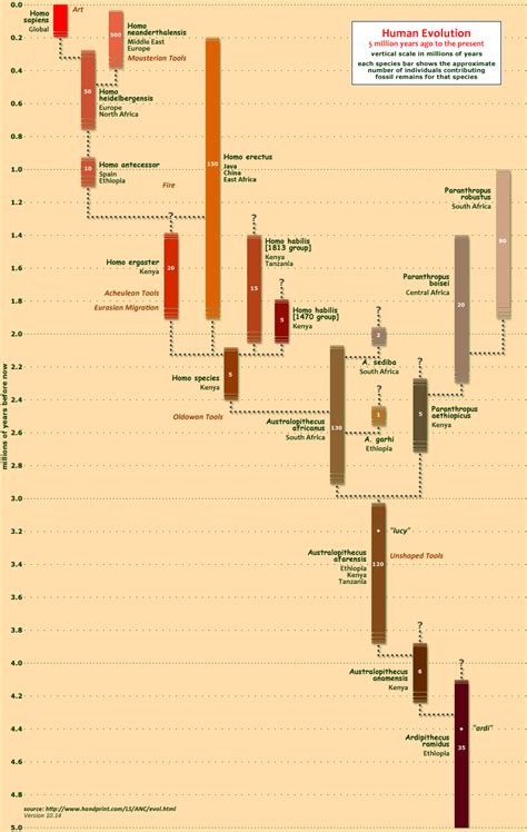 Human Evolution Timeline For Kids