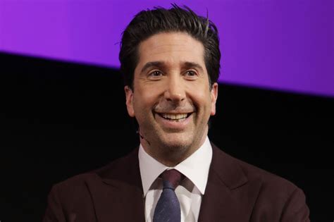 David Schwimmer to narrate new Discovery docuseries