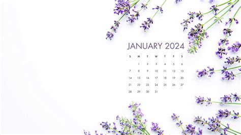 January 2024 Desktop Calendar Wallpaper - iXpap