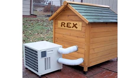 Man's Best Friend Doesn't Need Its Own Air-Conditioner