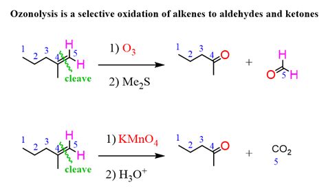 Ozonolysis Examples