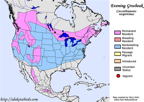 Evening Grosbeak - Species range Map