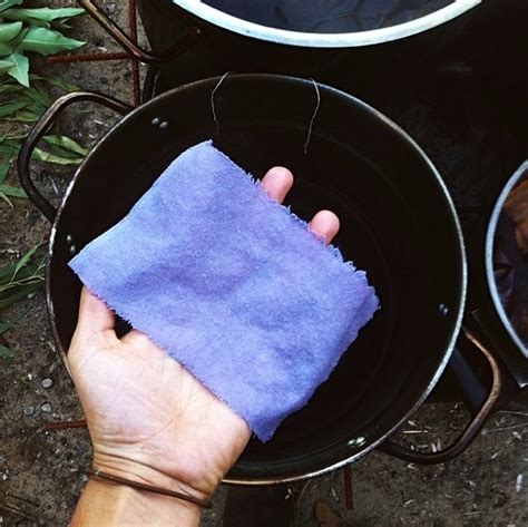 Experiments in Colour: DIY Plant Dyes - Milkwood: permaculture courses, skills + stories