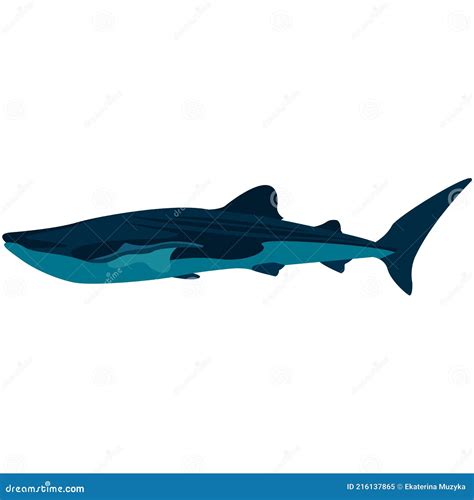 Vector Whale Shark Illustration Isolated on White Stock Vector - Illustration of marine ...