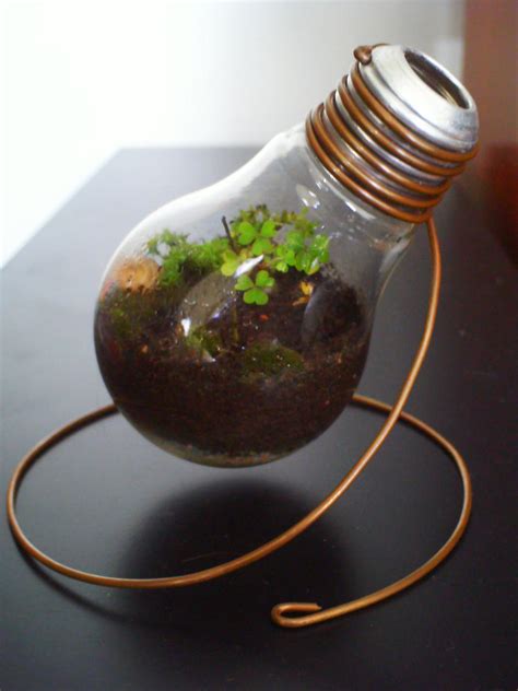 Light Bulb Terrarium updt by Kosmu on DeviantArt