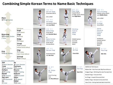 Basic_Terms_2 | Taekwondo techniques, Taekwondo forms, Taekwondo