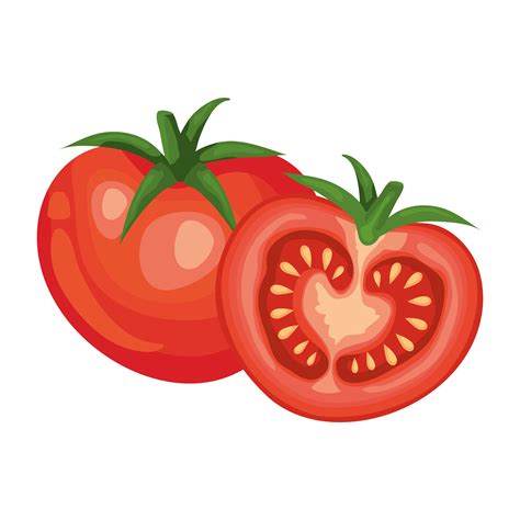 Tomato Vector Art, Icons, and Graphics for Free Download