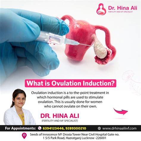 Ovulation induction: What is it, Process and More