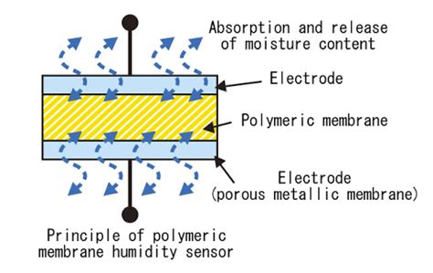 capacitance - How exactly does a (capacitive) humidity sensor work? - Physics Stack Exchange