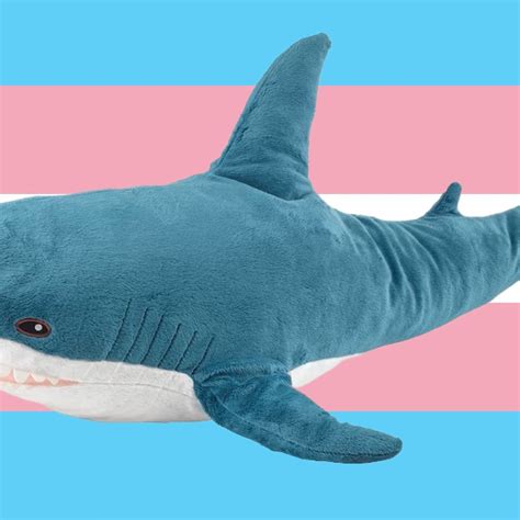 Blahaj Shark. Pet. Can Change the players Gender and Pronouns. Obtained ...