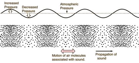 Are Sound Waves Longitudinal or Transverse