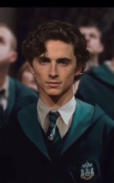 timothée chalamet | Fotos de harry potter, Chicos famosos, Personajes ...