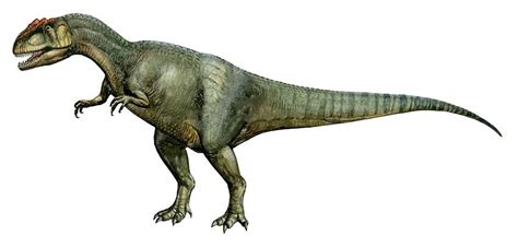 Allosaurus | Extinct Animals