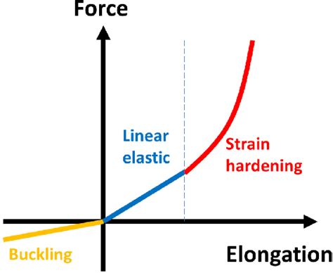 Figure 1 from Modeling cell migration regulated by cell extracellular ...