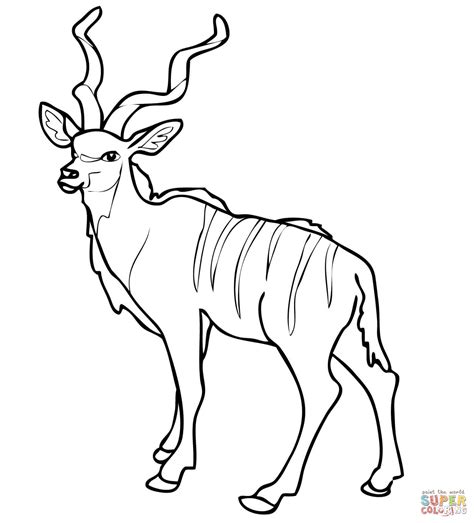 African Woodland Antelope Kudu coloring page | Free Printable Coloring Pages