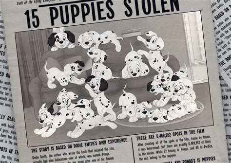 Can A Dalmatian Have 15 Puppies