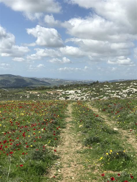 Nablus, Palestine | Scrolller