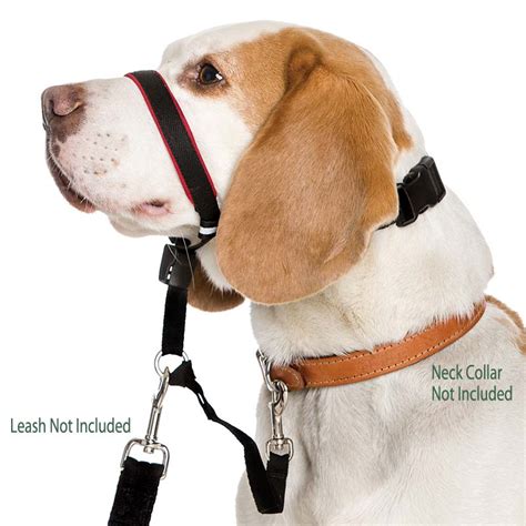 How To Make A Dog Headcollar