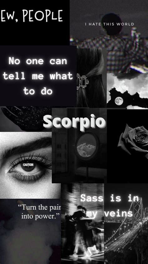 Scorpio Aesthetic Wallpaper in 2024 | Scorpio, Scorpio art, Black aesthetic