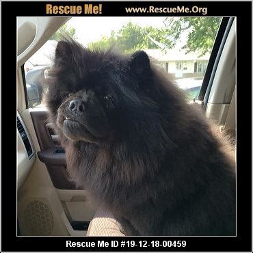 - Ohio Dog Rescue - ADOPTIONS - Rescue Me!