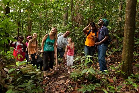 St Lucia Rainforest Walk 2024 - Castries