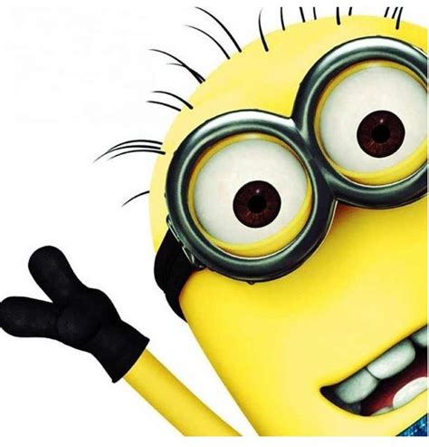 1000+ images about Minion Madness on Pinterest