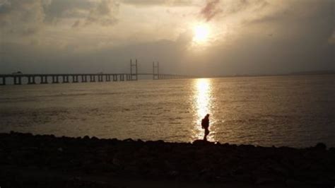 Severn Estuary climate change mudflats 'squeeze' report - BBC News