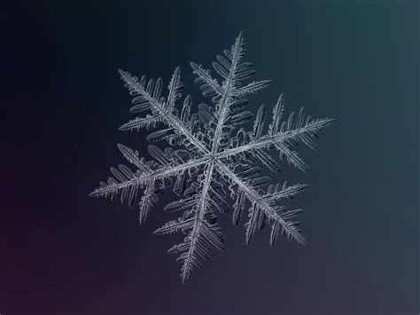 [PHOTOGRAPHY] Snowflakes by Alexey Kljatov - ART FOR YOUR WALLPAPER