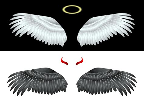 Wings Angel and fallen angel isolated 4917126 Vector Art at Vecteezy